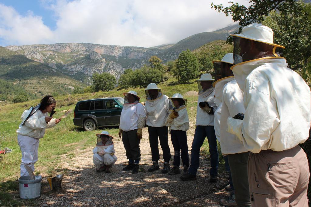 Albergue Casa Fumenal Padarniu Dış mekan fotoğraf